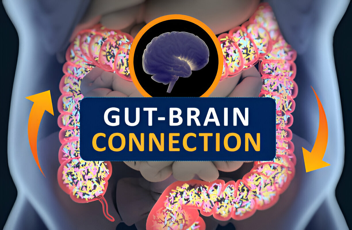 The Gut-Brain Connection: How Probiotics Can Support Your Mental Wellbeing 4 The Gut-Brain Connection: How Probiotics Can Support Your Mental Wellbeing
