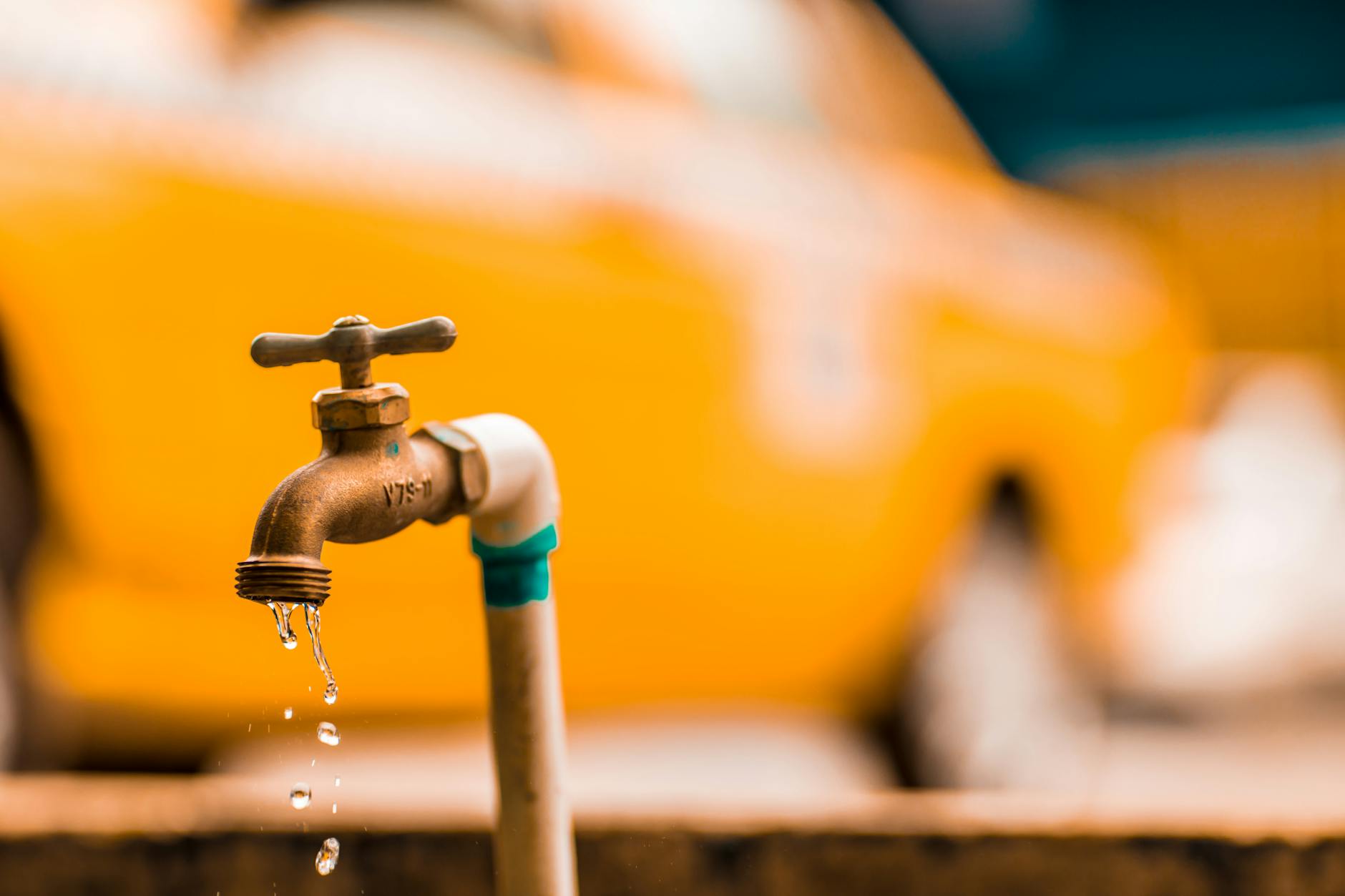 Leaky Gut Syndrome: Separating Fact from Fiction
