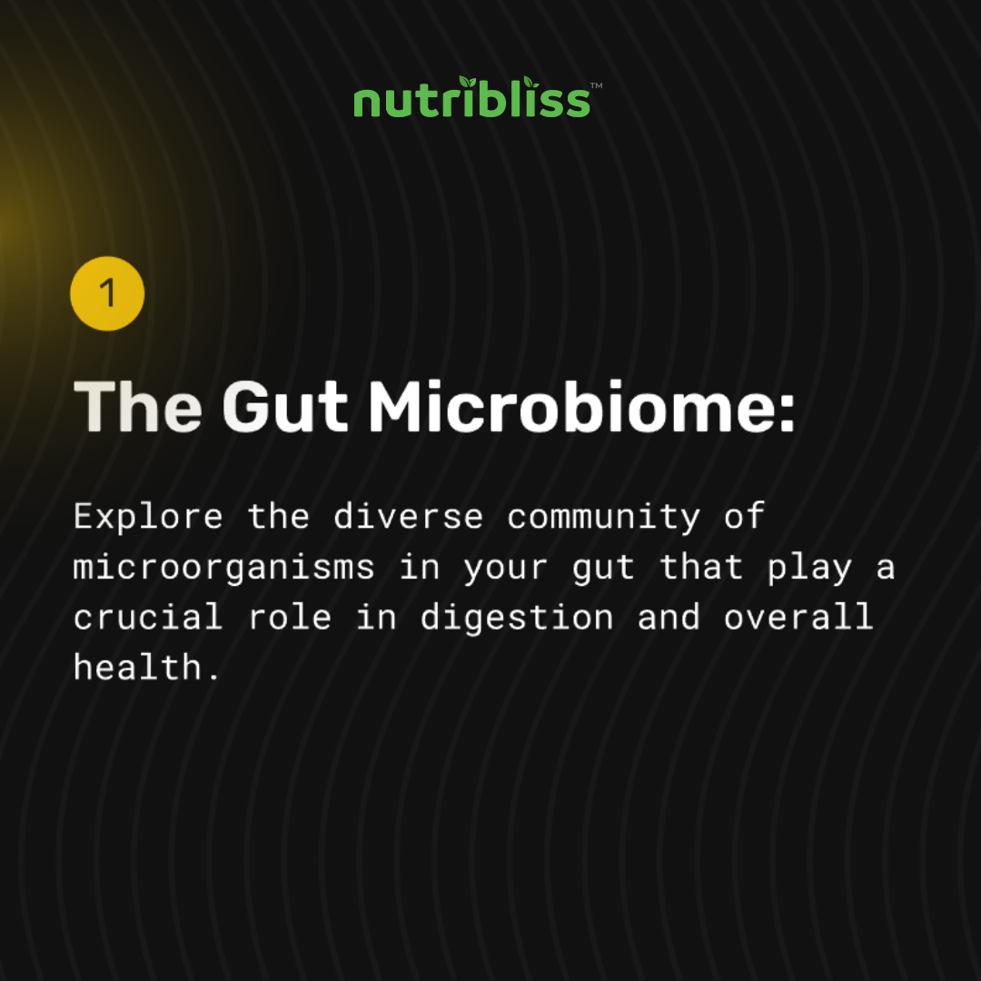 nutribliss-probiotics-with-prebiotics-and-digestive-enzymes-for-gut-health-gut-microbiome